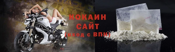 сатива Верея