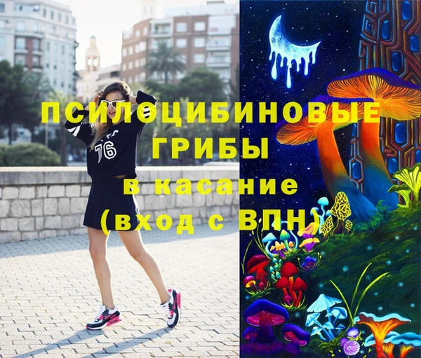 гидра Белокуриха