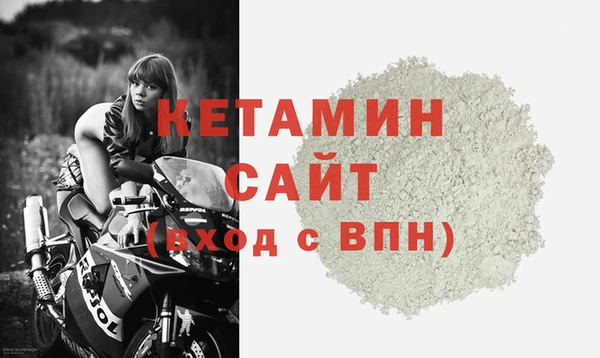 сатива Верея