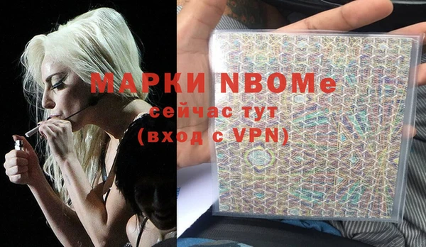 прущие крисы Бородино