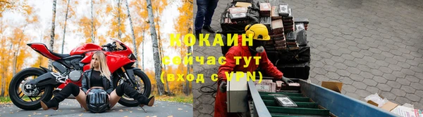 ГАЛЛЮЦИНОГЕННЫЕ ГРИБЫ Аша