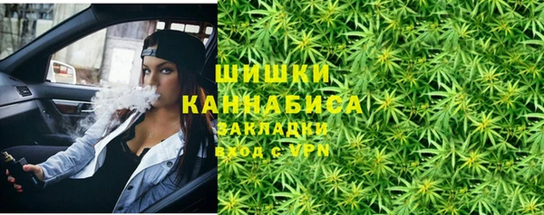 прущие крисы Бородино