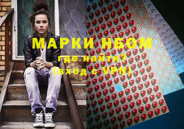 сатива Верея