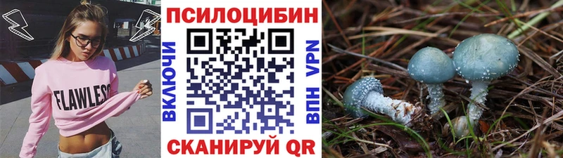 как найти закладки  Октябрьский  Псилоцибиновые грибы Psilocybine cubensis 